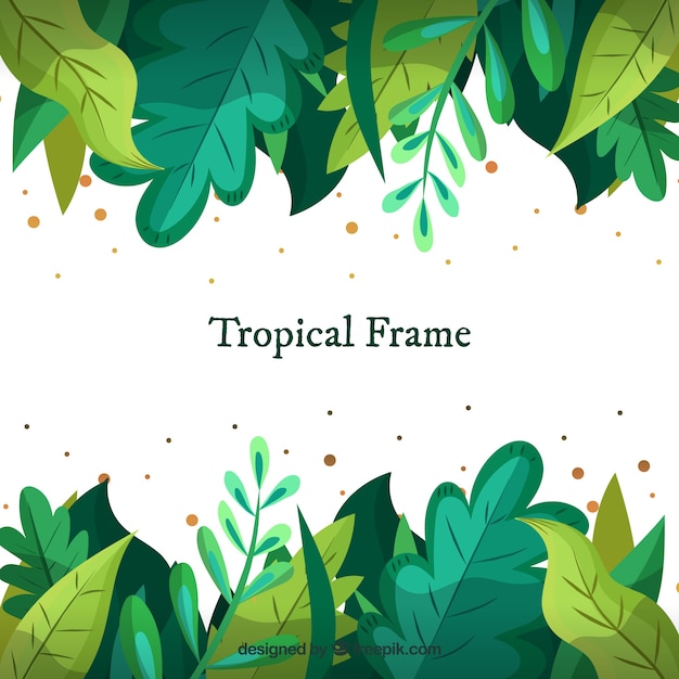 Cornice tropicale con foglie diverse