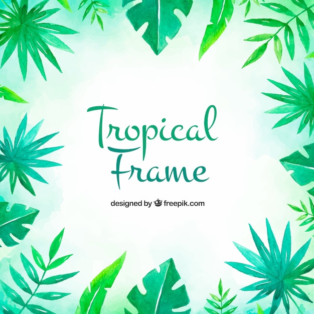 Tropical frame with leaves and vegetation