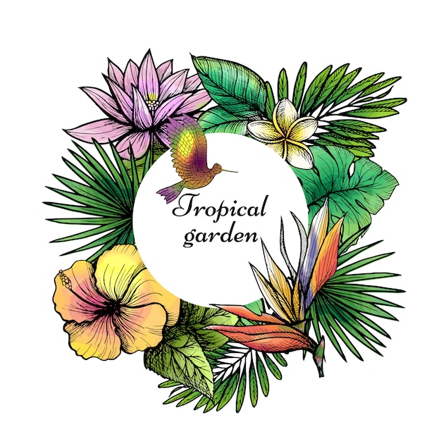 Free vector tropical frame