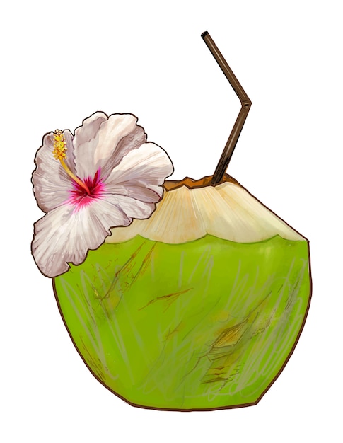 Free vector tropical fresh young coconut illustration