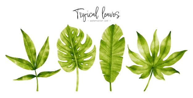 装飾的な要素のための熱帯の緑の葉の水彩イラスト