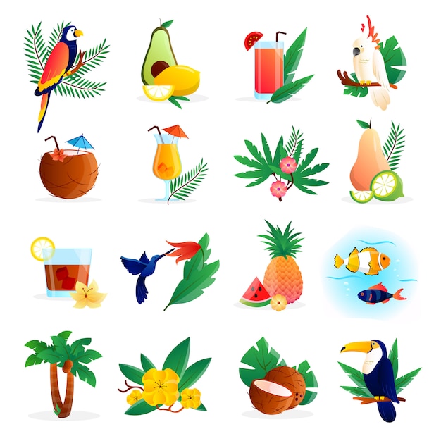 Tropical icon set with cocktails flowers fruits and birds