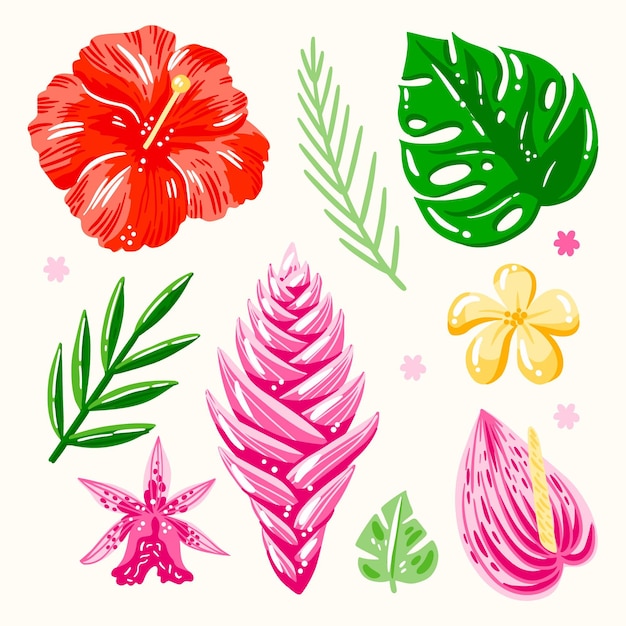 Бесплатное векторное изображение Тропический пакет листьев и цветов