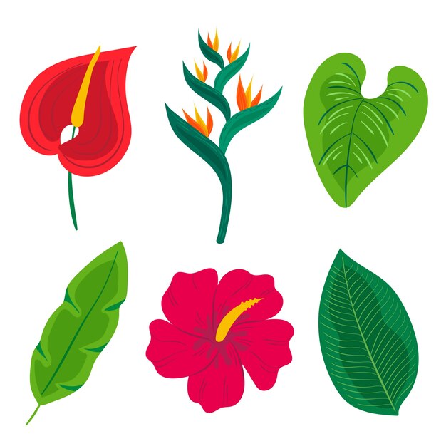 Tropical leaf and flower collection theme