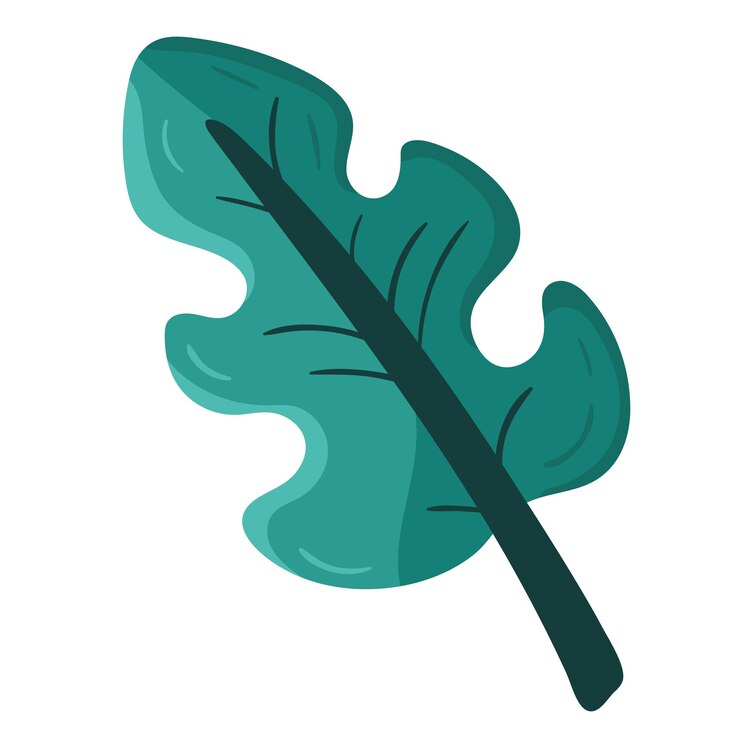 Free Vector tropical leaf monstera