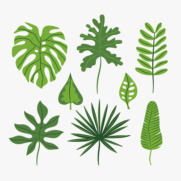 Tropical leaf pack