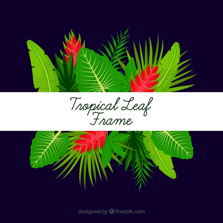 मुफ़्त वेक्टर tropical leafs frame to decorate