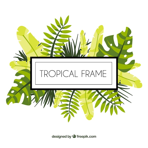 Free vector tropical leave frame