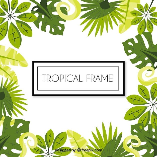 Cornice per congedo tropicale