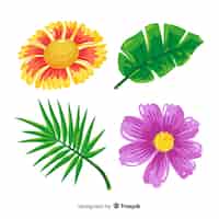 Бесплатное векторное изображение Тропические листья и цветы
