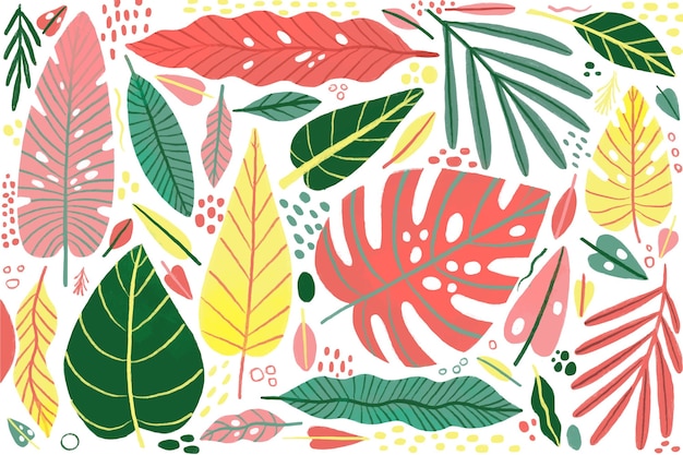 Tropical leaves background concept