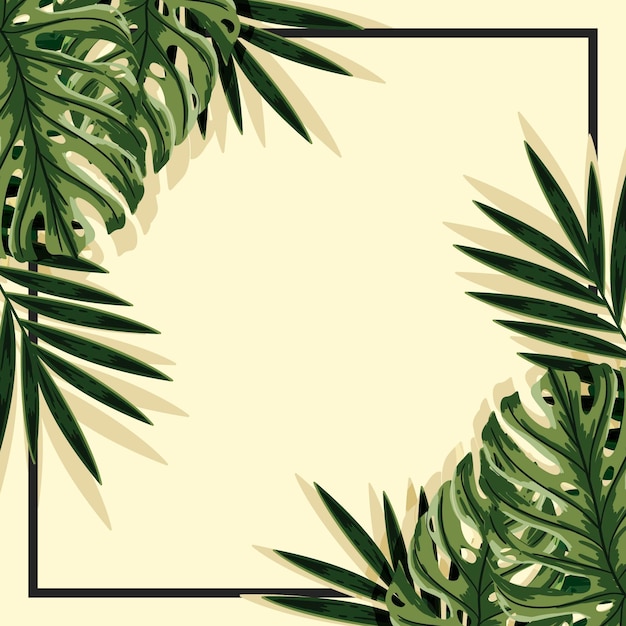 Tropical leaves background with frame