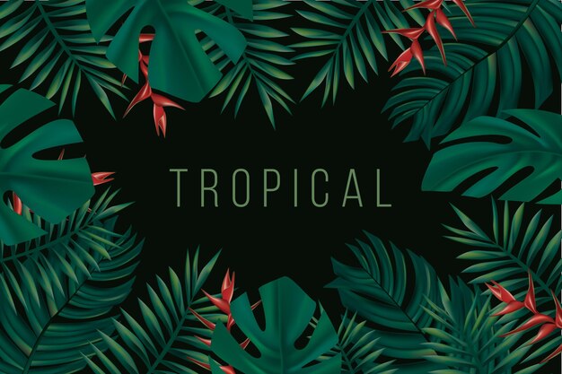 Тропические листья фон со словом тропических