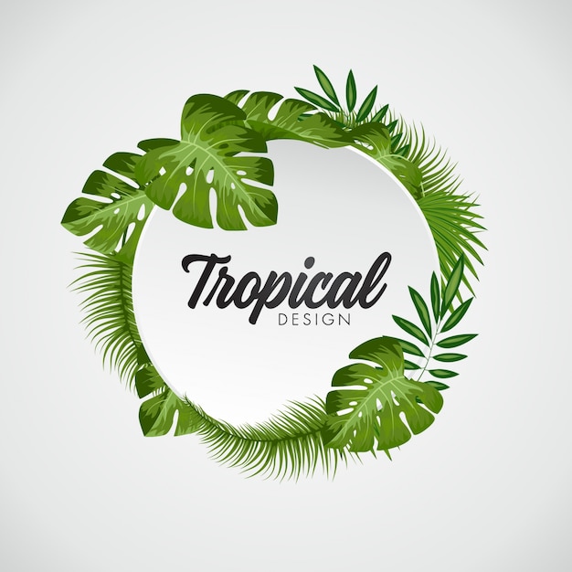 Tropical leaves background