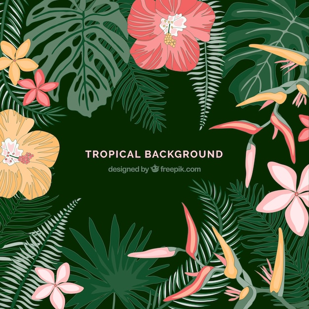 Tropical leaves background