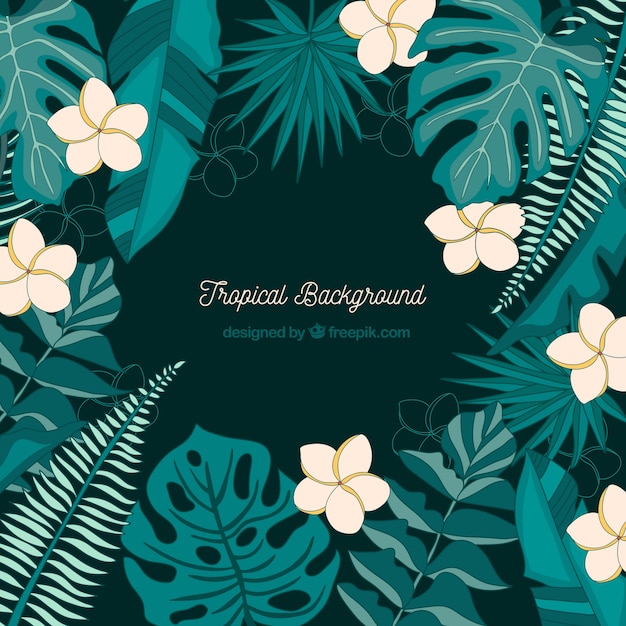 Tropical leaves background