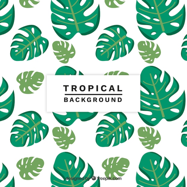 Tropical leaves background