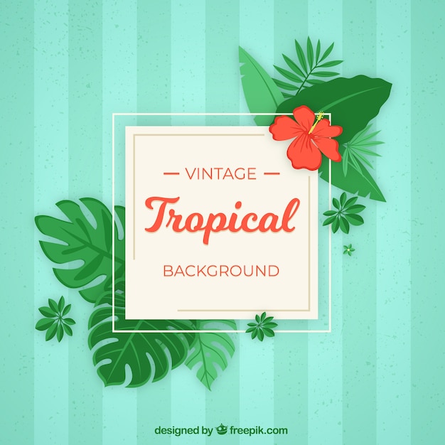 Tropical leaves background