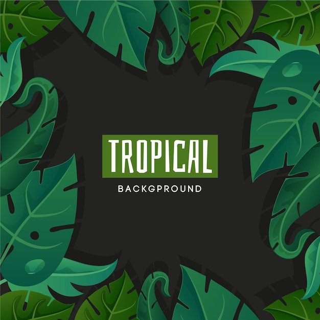 Tropical leaves background