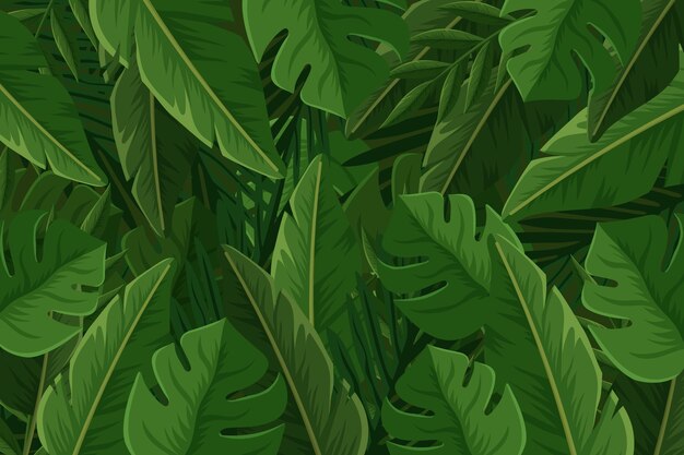 Tropical leaves background