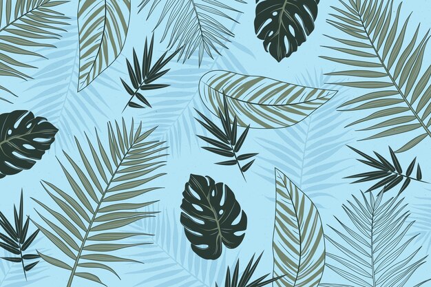 Tropical leaves background