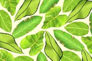 Free vector tropical leaves background