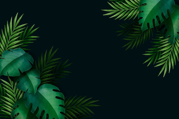 Tropical leaves background