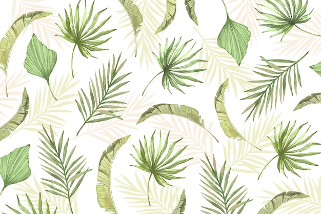 Tropical leaves background