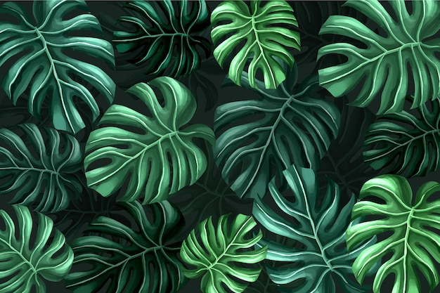 Free vector tropical leaves background