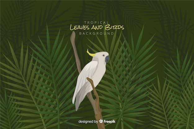 Free vector tropical leaves and birds