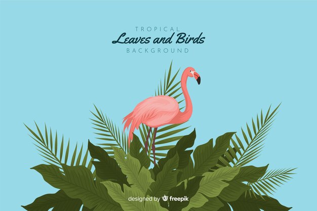 Tropical leaves and birds