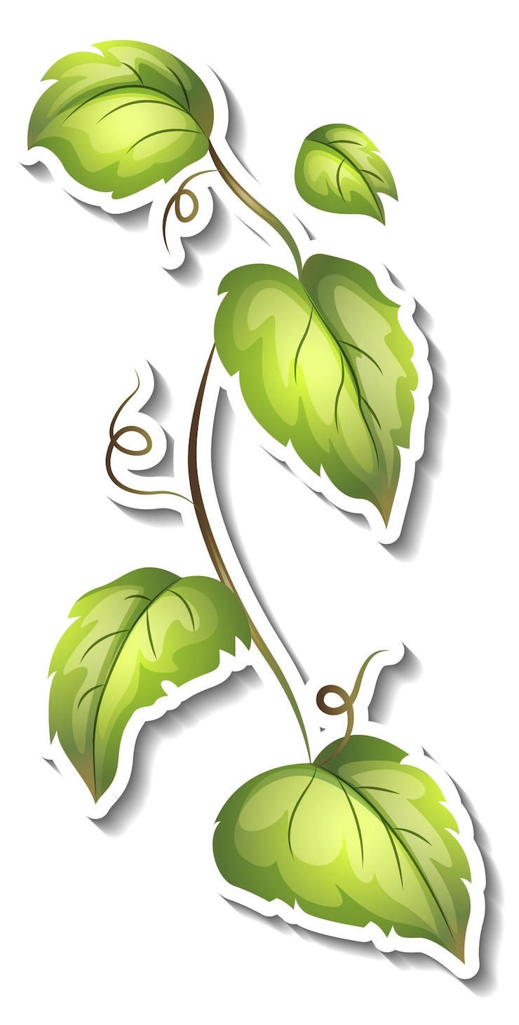 Free Vector tropical leaves brush sticker on white background