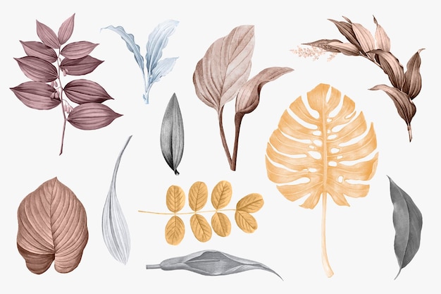 Tropical leaves collection set