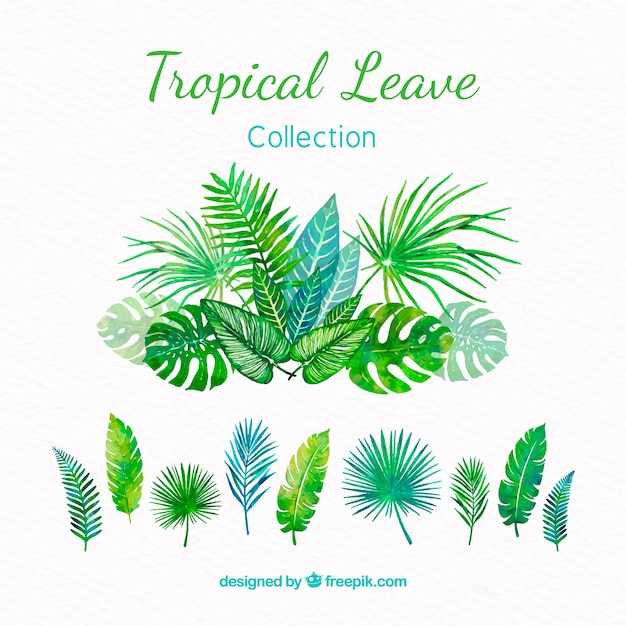 tropical leaves collection in watercolor style