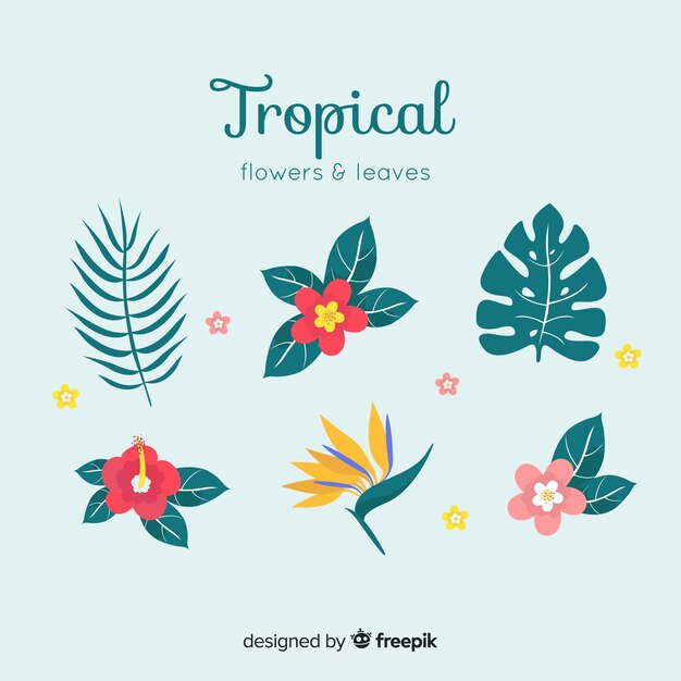 Tropical leaves and flowers collectio