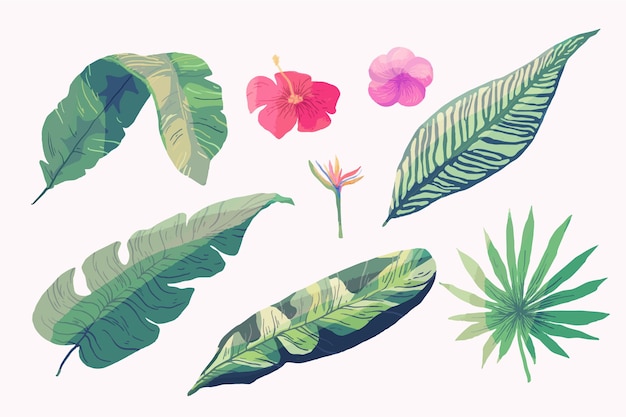 Тропические листья и цветы на белом фоне