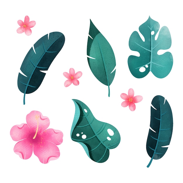 Tropical leaves and flowers pack