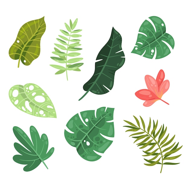 Набор тропических листьев и цветов