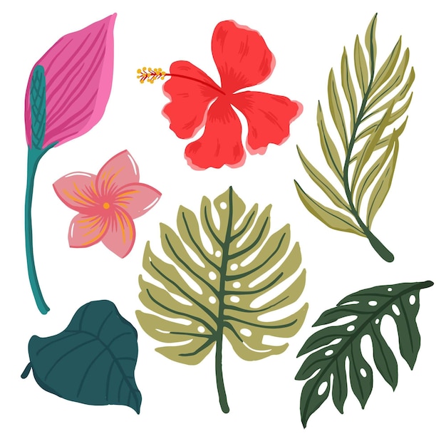 Free vector tropical leaves and flowers set