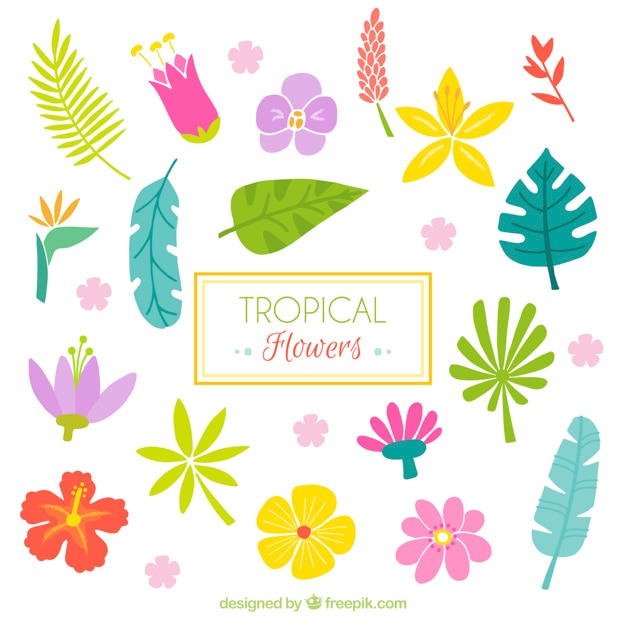 Free vector tropical leaves and flowers