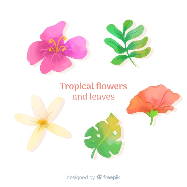 Tropical leaves and flowers