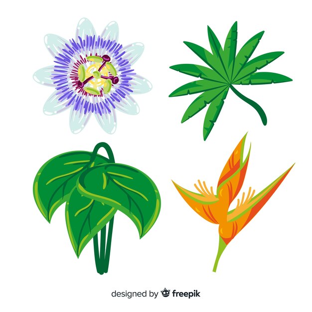 Tropical leaves and flowers