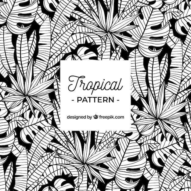 Tropical leaves pattern 