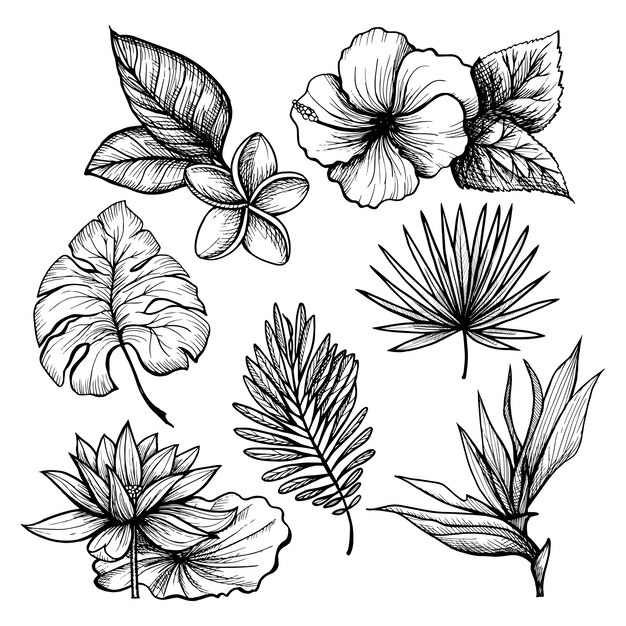 Tropical Leaves Set