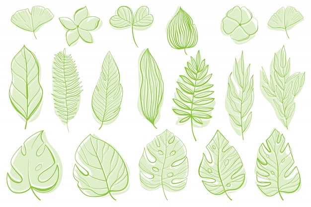 Download Free Tropical Leaves Set Premium Vector Use our free logo maker to create a logo and build your brand. Put your logo on business cards, promotional products, or your website for brand visibility.