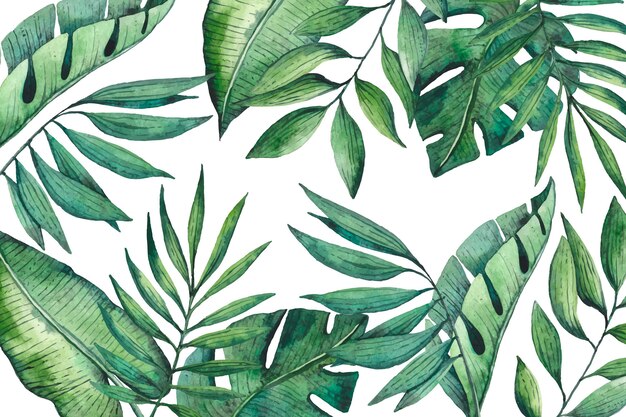 Tropical leaves wallpaper