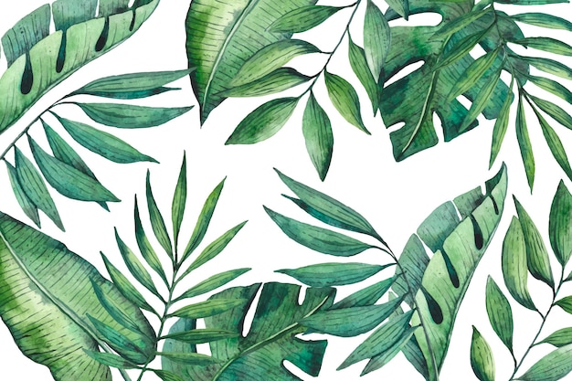 Tropical leaves wallpaper