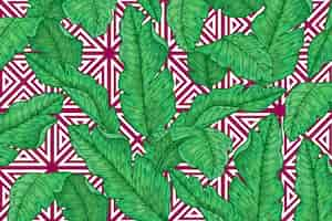 Free vector tropical leaves with geometric background