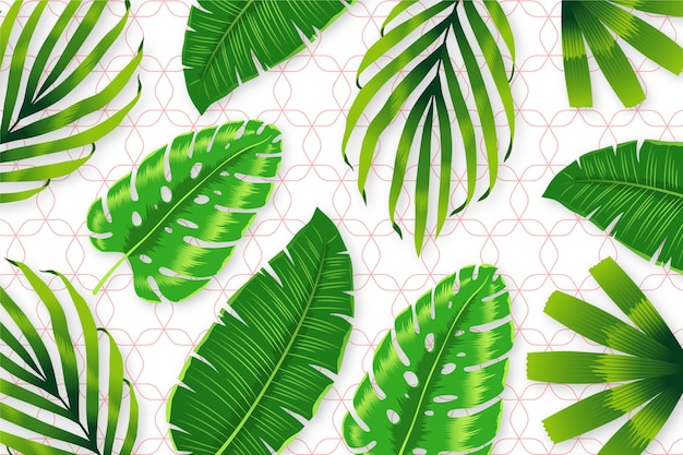 Free vector tropical leaves with geometric background