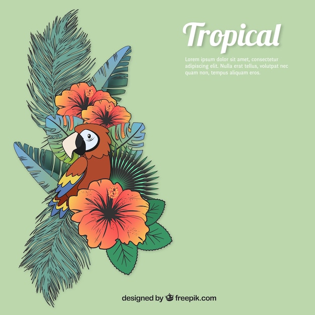 Tropical nature background